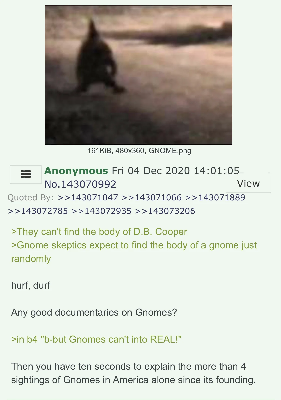 You've Been Gnomed — 4chan screenshot of a blurry gnome photo with text discussing gnome sightings