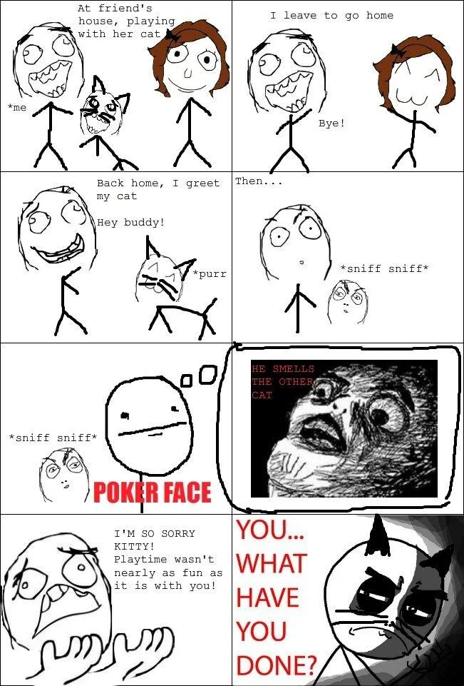 You...What Have You Done? — Rage comic about a cat smelling another cat on its owner, ending with the sad hooded face variant.