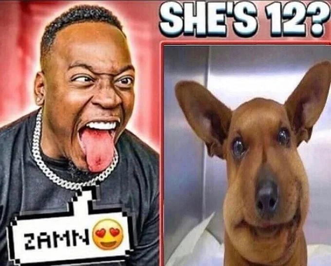 Zamn Shes 12 — Zamn reactor next to dog with human-like smile and SHE'S 12? caption