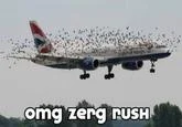 Airplane surrounded by massive bird flock with 'omg zerg rush' text.