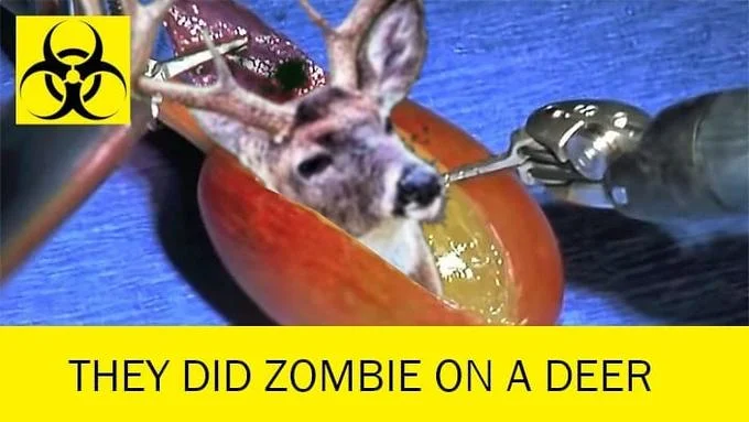 Zombie Deer Disease — Humorous meme with deer head and lab equipment with 'THEY DID ZOMBIE ON A DEER' caption.