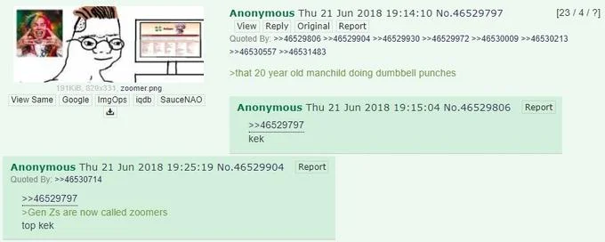 4chan thread screenshot from June 2018 about Zoomer label application.